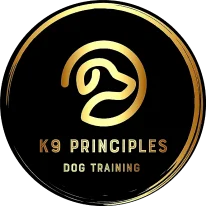 Unleashing Potential: Premier Dog Training Now in Brantford