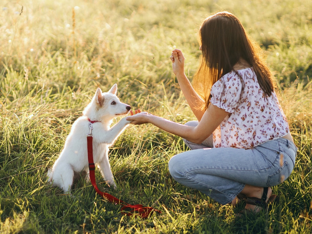 Building a Lasting Bond: Essential Dog Training Tips for Deeper Connection