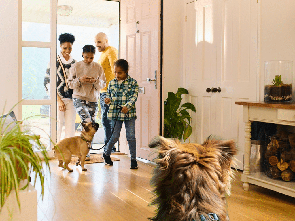 How to Integrate a New Dog into a Multi-Dog Household