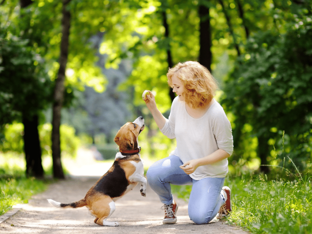 Canine Conversations How to Understand and Communicate with Your Dog