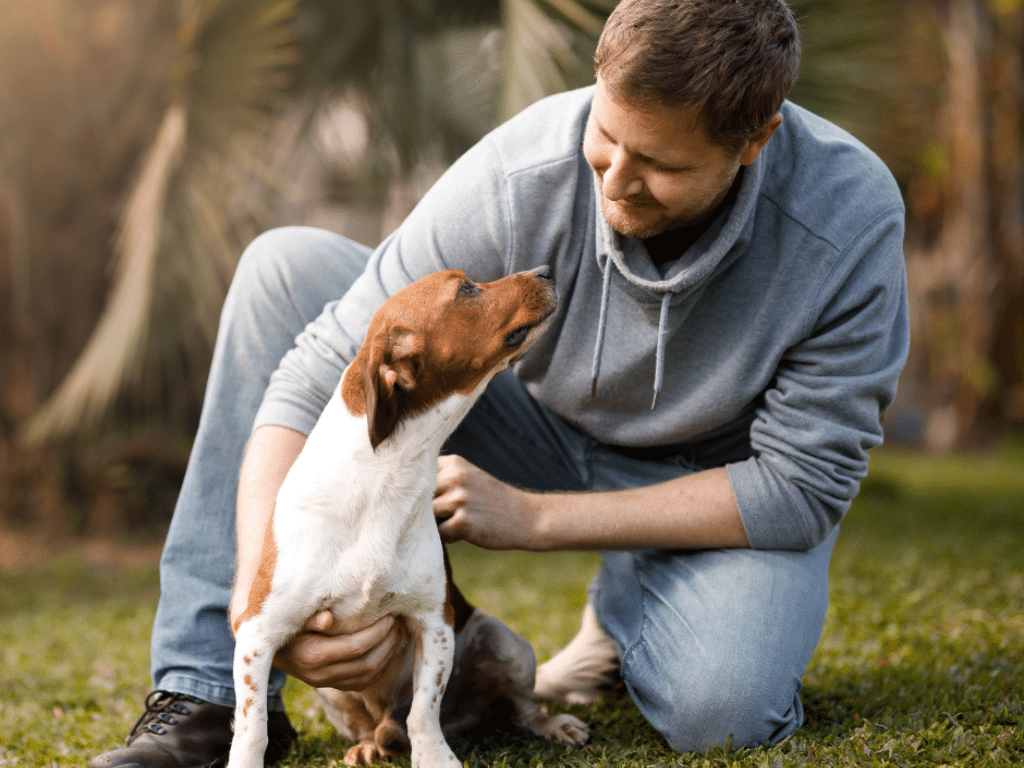Understanding and Building Engagement in Dog Training A Comprehensive Guide for First-Time Dog Owners