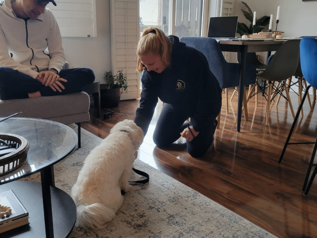 Train the Dog in Front of You: A Guide to Personalized Dog Training in Hamilton