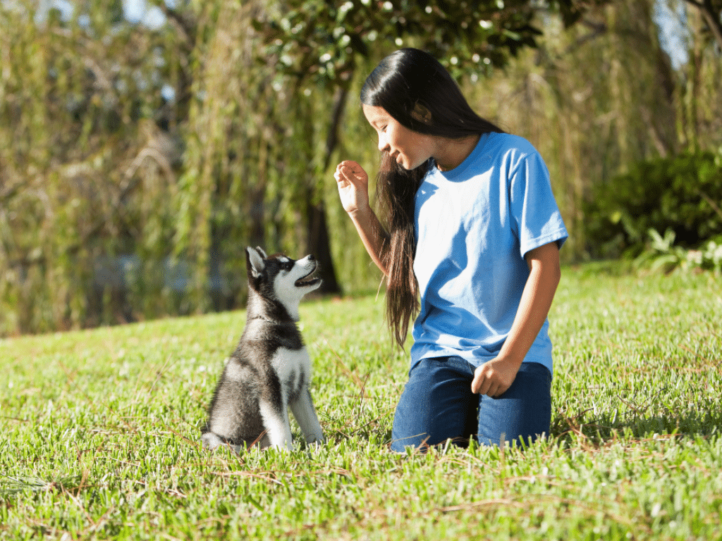 Understanding Superstitious Behaviours in Dog Training