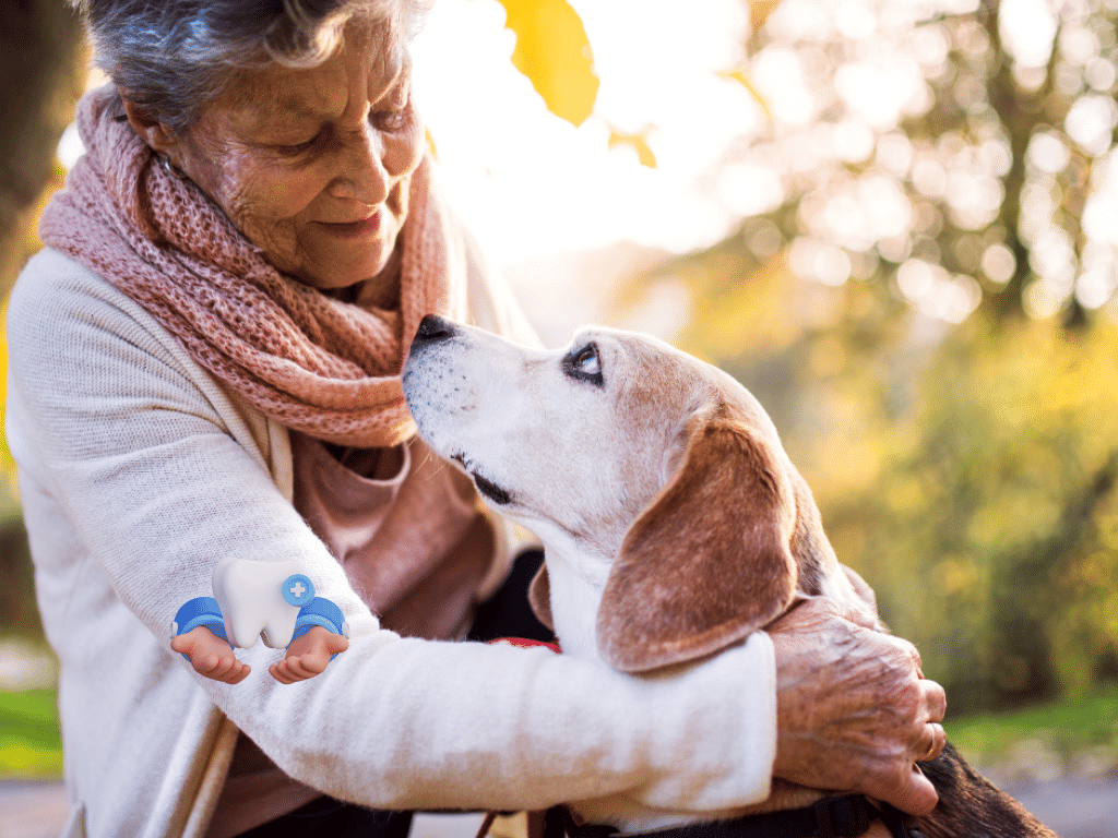 How to Train an Older Dog Successfully A Guide for Hamilton Dog Owners