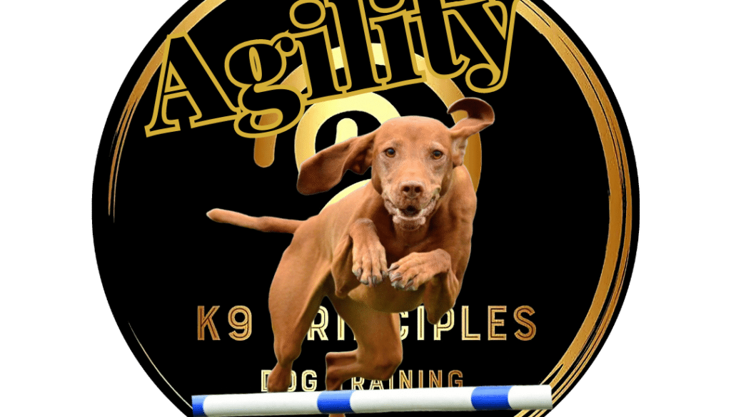 Agility Logo 2