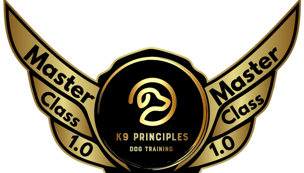 Master Class 1.0 Logo