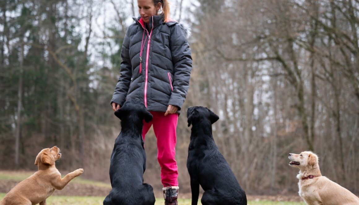 The-Magic-of-Eye-Contact-Building-Connection-and-Focus-with-Your-Dog