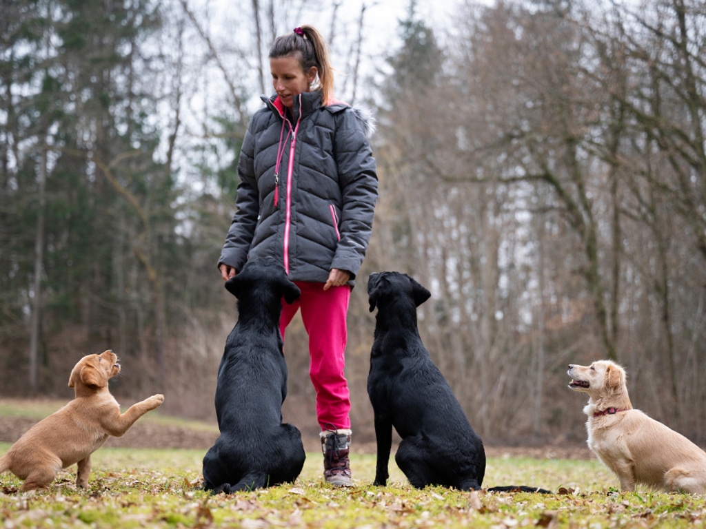 The Magic of Eye Contact: Building Connection and Focus with Your Dog