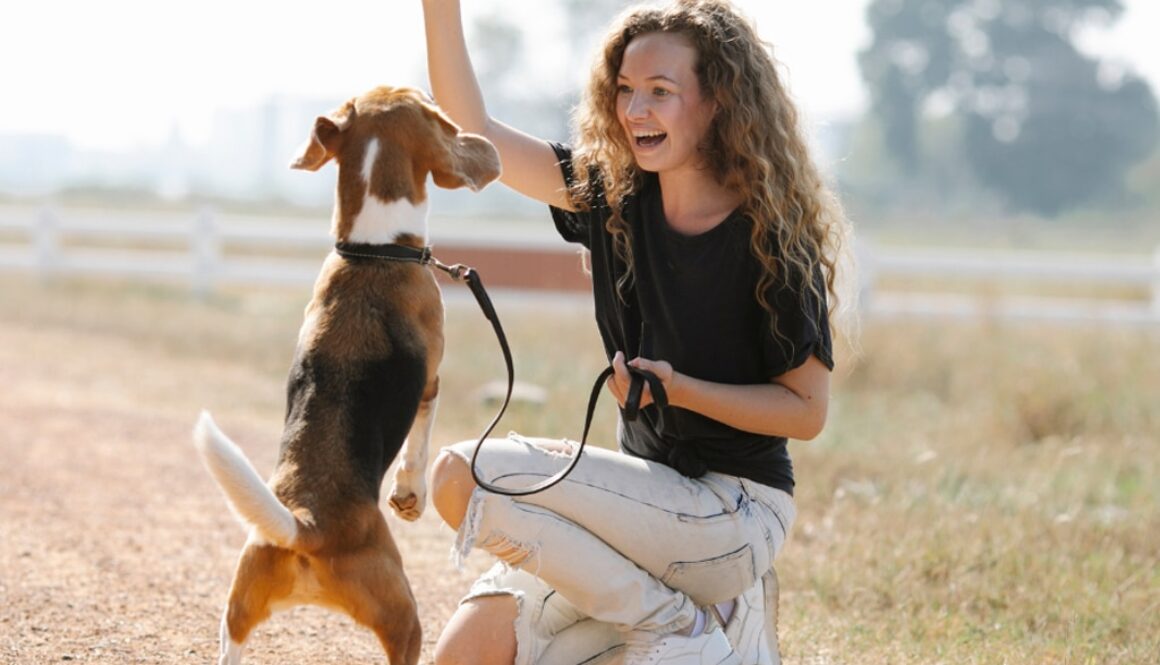 Mastering-the-A-B-C-of-Dog-Training-The-Complete-Guide-for-Beginners