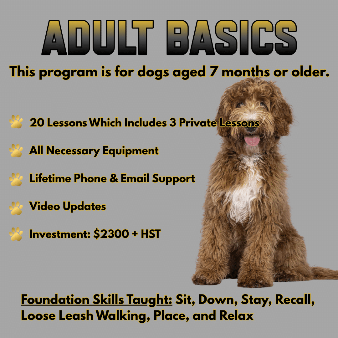 ADULT BASICS
