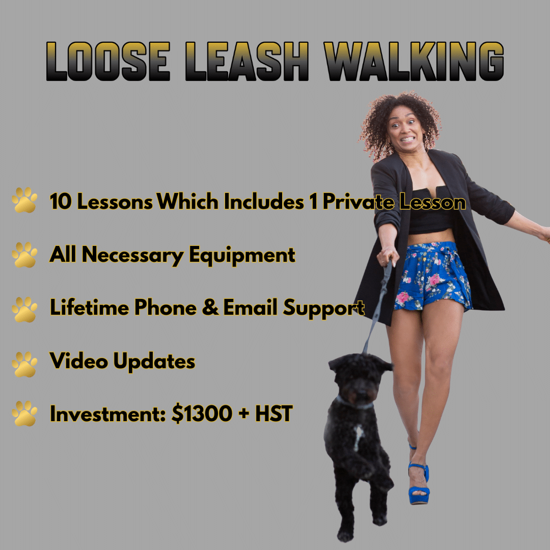 LOOSE LEASH WALKING