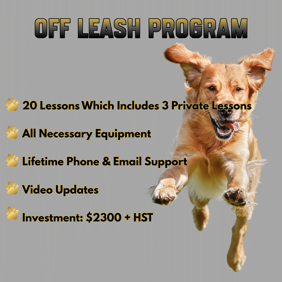 OFF LEASH PROGRAM