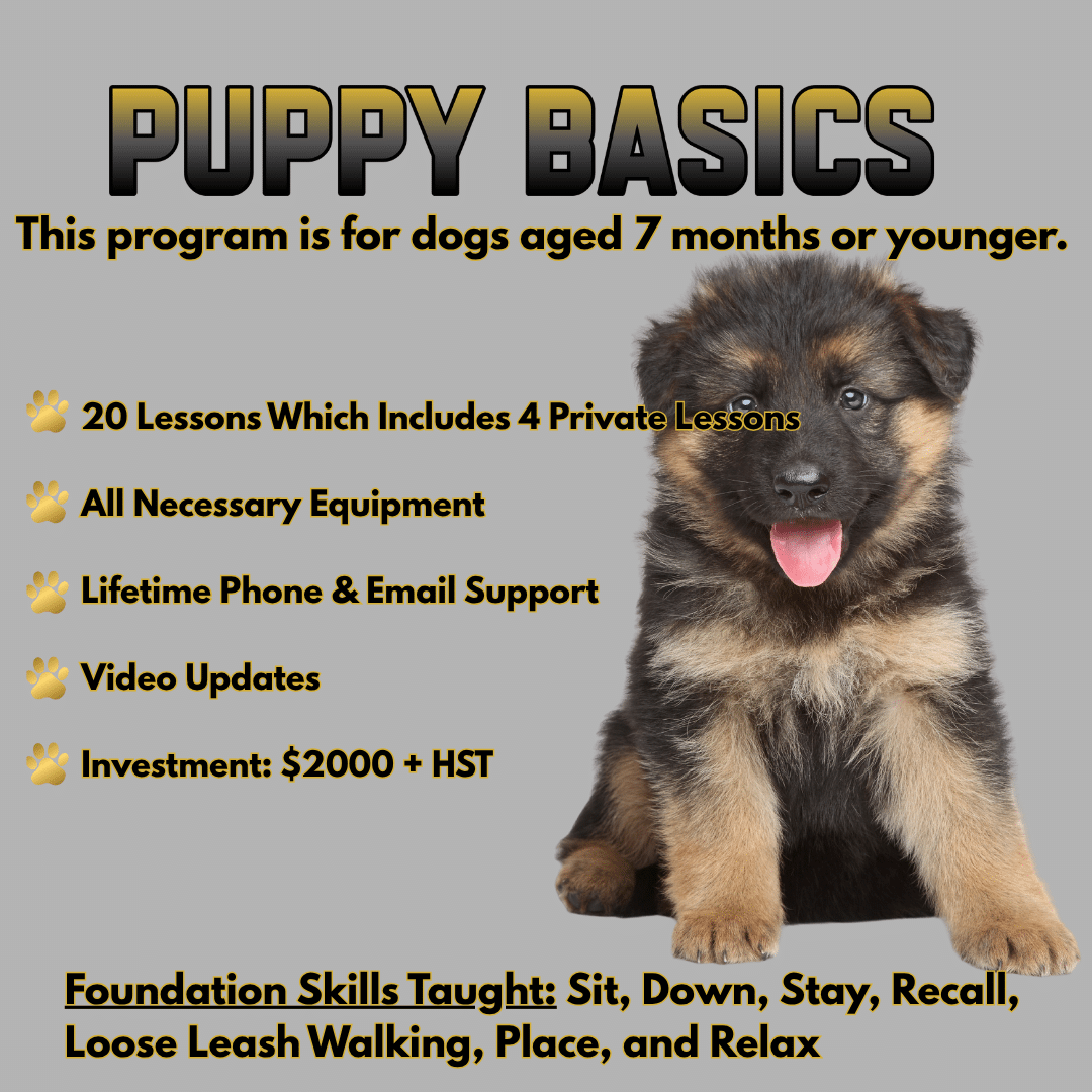 PUPPY BASICS