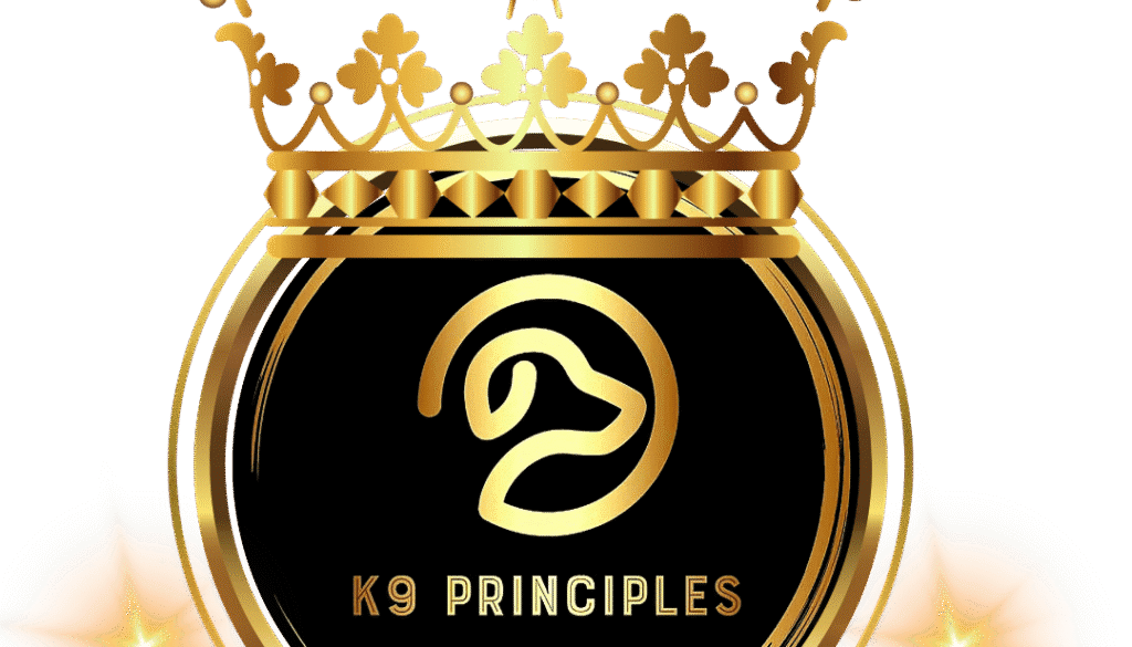 Untitled design (15)