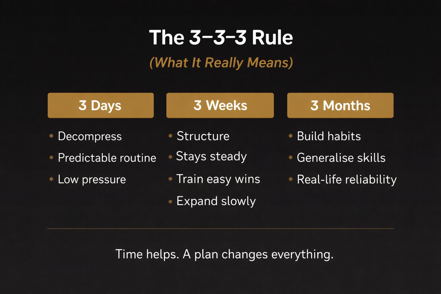 333 Rule Rescue The 3-3-3 Rule for Rescue Dogs, Unpacked: The Truth Behind the Timeline ...