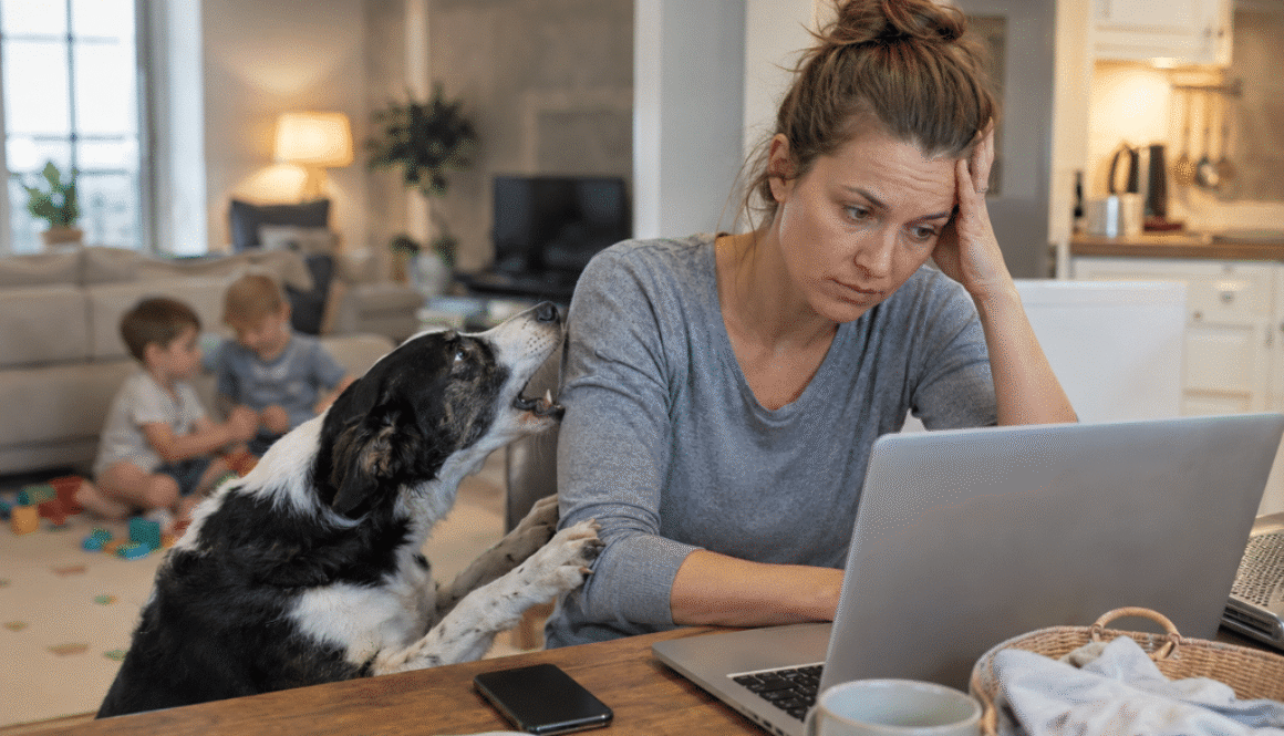 Why Dog Training Is So Hard to Maintain When Life Is Already Busy